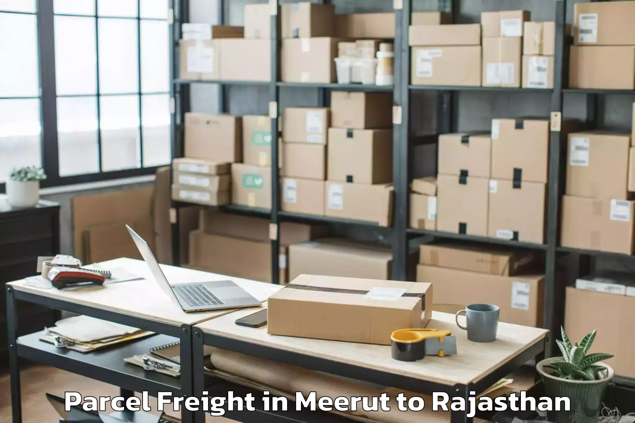 Leading Meerut to Bhinmal Parcel Freight Provider